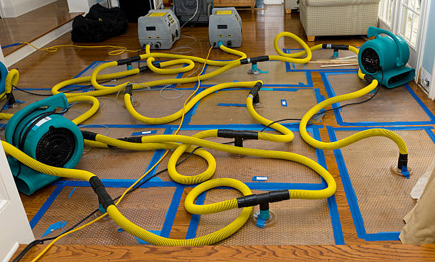 Professional Water Extraction technician working in Loma, CO